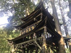 -青城山