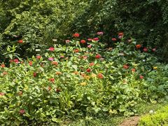 -白马涧龙池景区