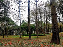 -顺峰山公园