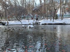 -水磨沟公园