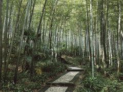 -南山风景名胜区