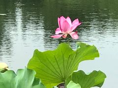 -苏州环秀晓筑养生度假村