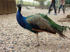 -南京金牛湖风景区