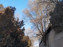 -兰山公园