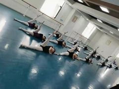 -西安小天鹅艺术团(金花路校区)