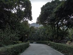 -月亮湾公园