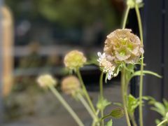 -苏州本色美术馆