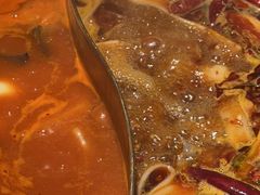 番茄鸳鸯-小龙坎火锅(总店)