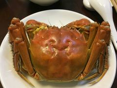 -乡乐园蟹庄·阳澄湖农家乐