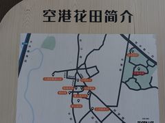 -空港花田景区
