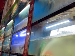 -好灶头妈妈菜·千岛湖土菜地标美食