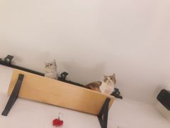 -隅cafe(傅厚岗店)