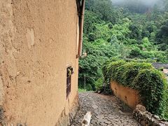 -杨家堂村