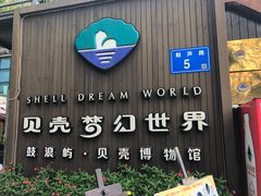 -贝壳梦幻世界
