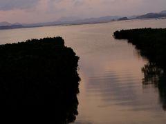 -盐洲岛