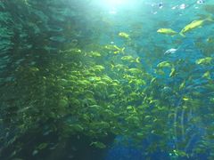 -福州罗源湾海洋世界旅游区