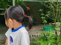 -扬州天乐湖嬉乐谷