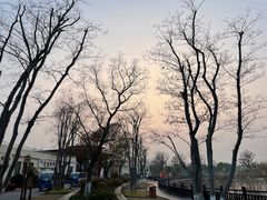 -上海长兴岛郊野公园