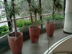 -麦当劳(展览路店)