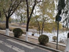 -丁香湖公园