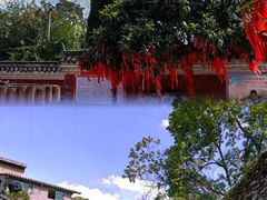 -黔灵山公园