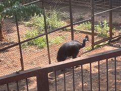 -昆明动物园