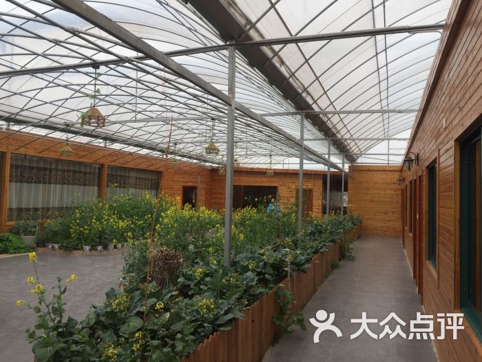 名夫果园生态农庄图片 - 第198张