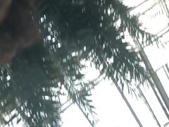 -龙达温泉生态城