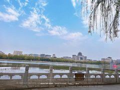 -莲花池公园