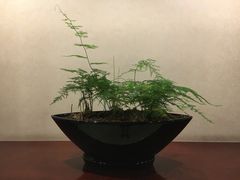 -中铁花水湾温泉酒店(大邑店)