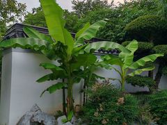 -堤角公园