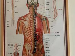 -杏林康桥中医正骨·体态矫正·跌打损伤·推拿按摩(国贸建外SOHO店)
