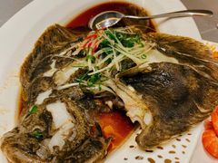 清蒸多宝鱼-神洲四海大酒楼(王府井澳门中心店)