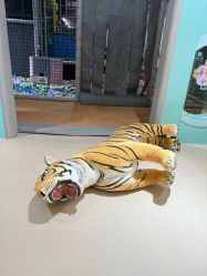 -meland club亲子乐园(重庆万象城店)