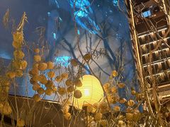 -桂满陇·海市蜃楼·黑金(国金店)