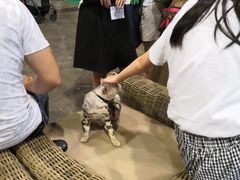 -香港会议展览中心演讲厅