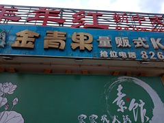 -金青果甄选KTV(劳动公园店)