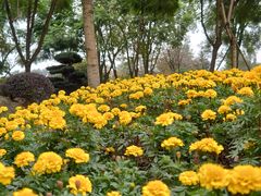 -铁山坪森林公园