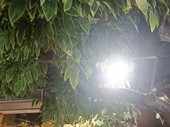 -城墙拐拐火锅(三峡广场黑金冠店)