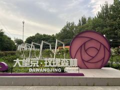 -大望京公园