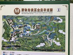 -野象谷景区