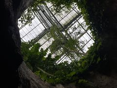 -南山植物园