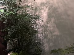 -四方茶集·茶馆(南山科技园店)