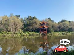 -日照海滨国家森林公园
