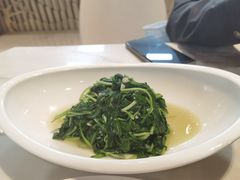 -丁老爷子苏香圆