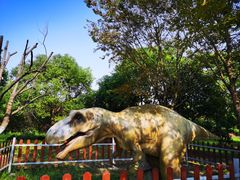 -上海海湾国家森林公园