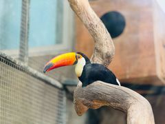 -大连森林动物园