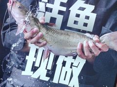 -老板恋上鱼(恒隆广场店)