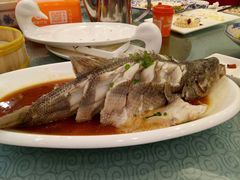 -九头鸟酒家(四道口店)