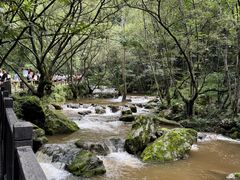 -牛背梁国家森林公园